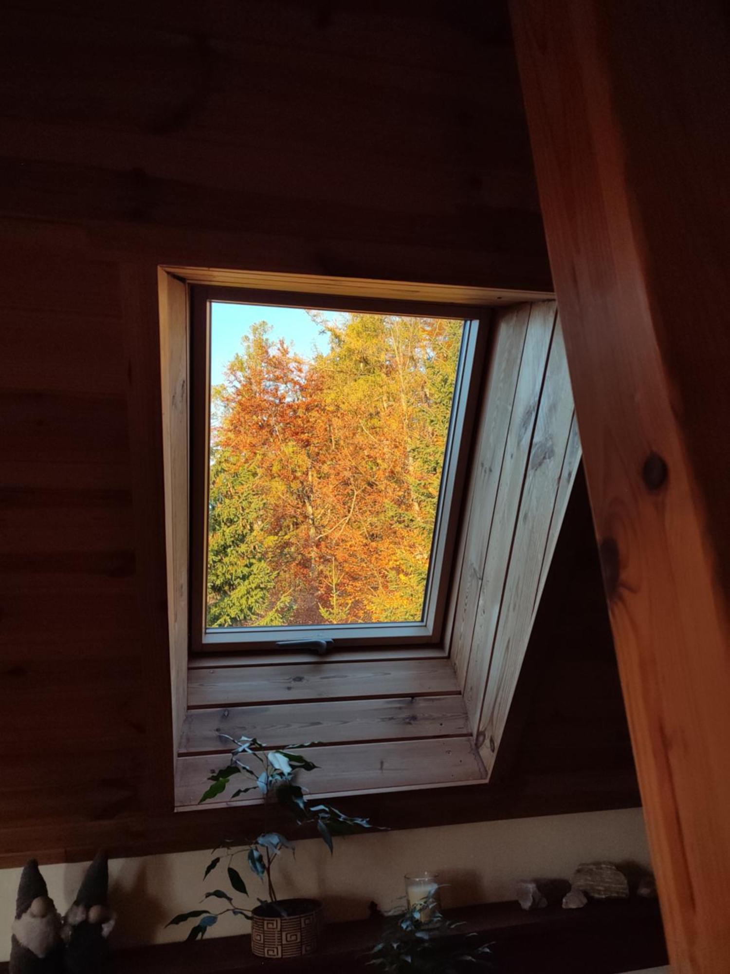 Wiking Daire Szklarska Poreba Dış mekan fotoğraf