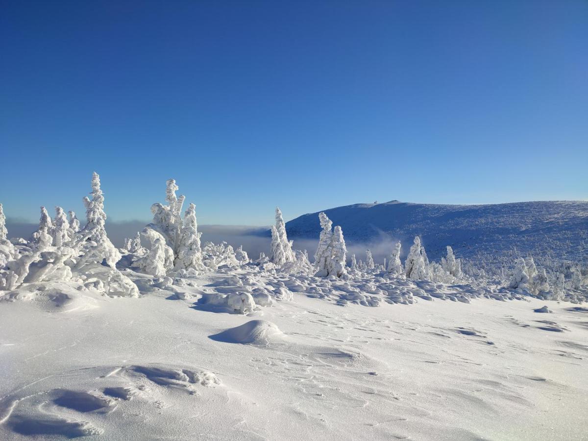 Wiking Daire Szklarska Poreba Dış mekan fotoğraf