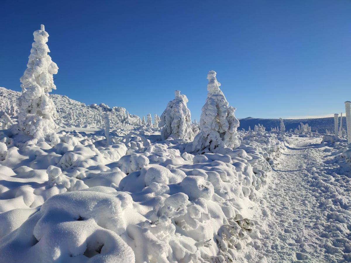 Wiking Daire Szklarska Poreba Dış mekan fotoğraf